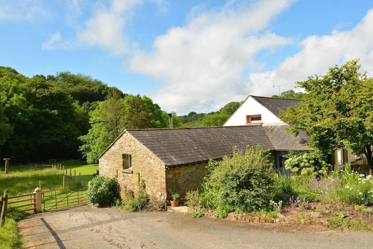 Dandelion Cottage, Amroth Exterior foto